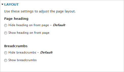 Theme Options for Layout